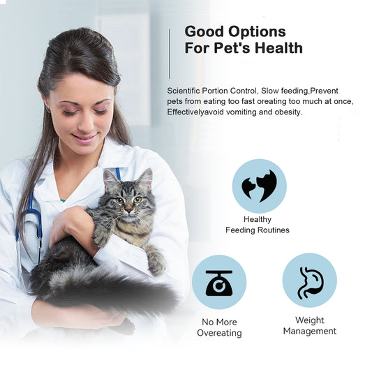 Onizoomi Smart Stainless Steel Bowl Automatic Cat & Dog Feeder, 25-Cup